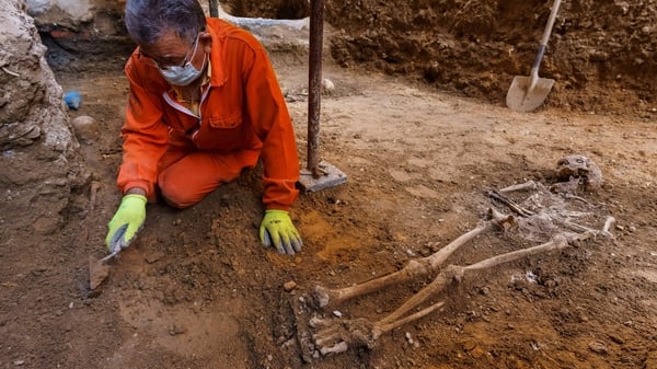 An archaeologist working on an excavation in a ruined chapel in Valladolid, Spain that expects to identify the remains of Irish rebel 