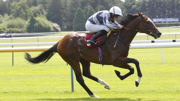 Highest Ground and Ryan Moore win the Novice Stakes at Haydock in June