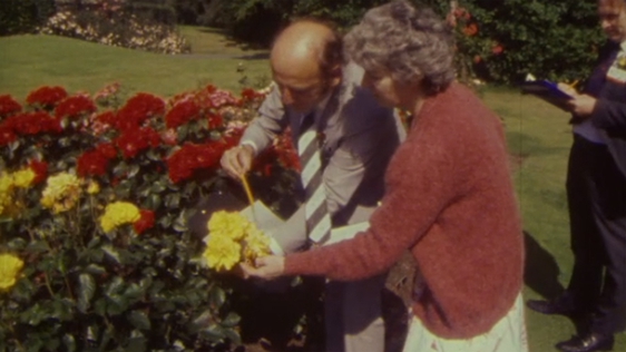 Raheny Rose Competition at St Anne's Park (1985)
