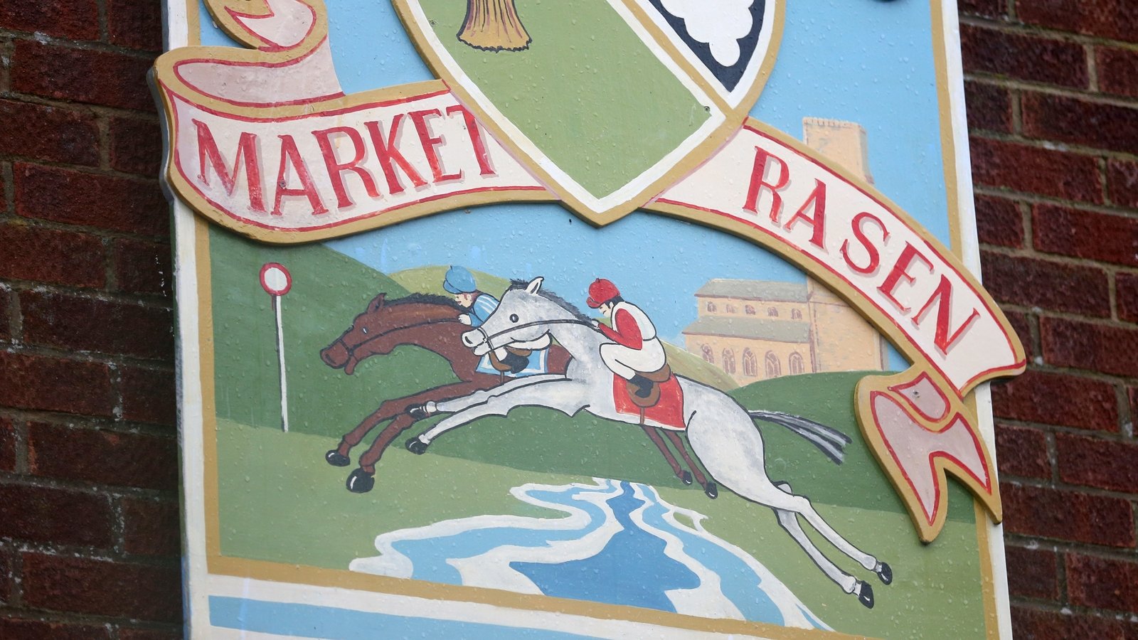 Horse barred due to trainer's high temperature