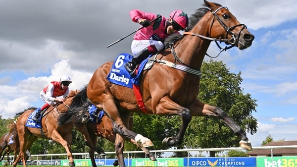 Oxted can be backed at 7-1 for the King's Stand at Ascot