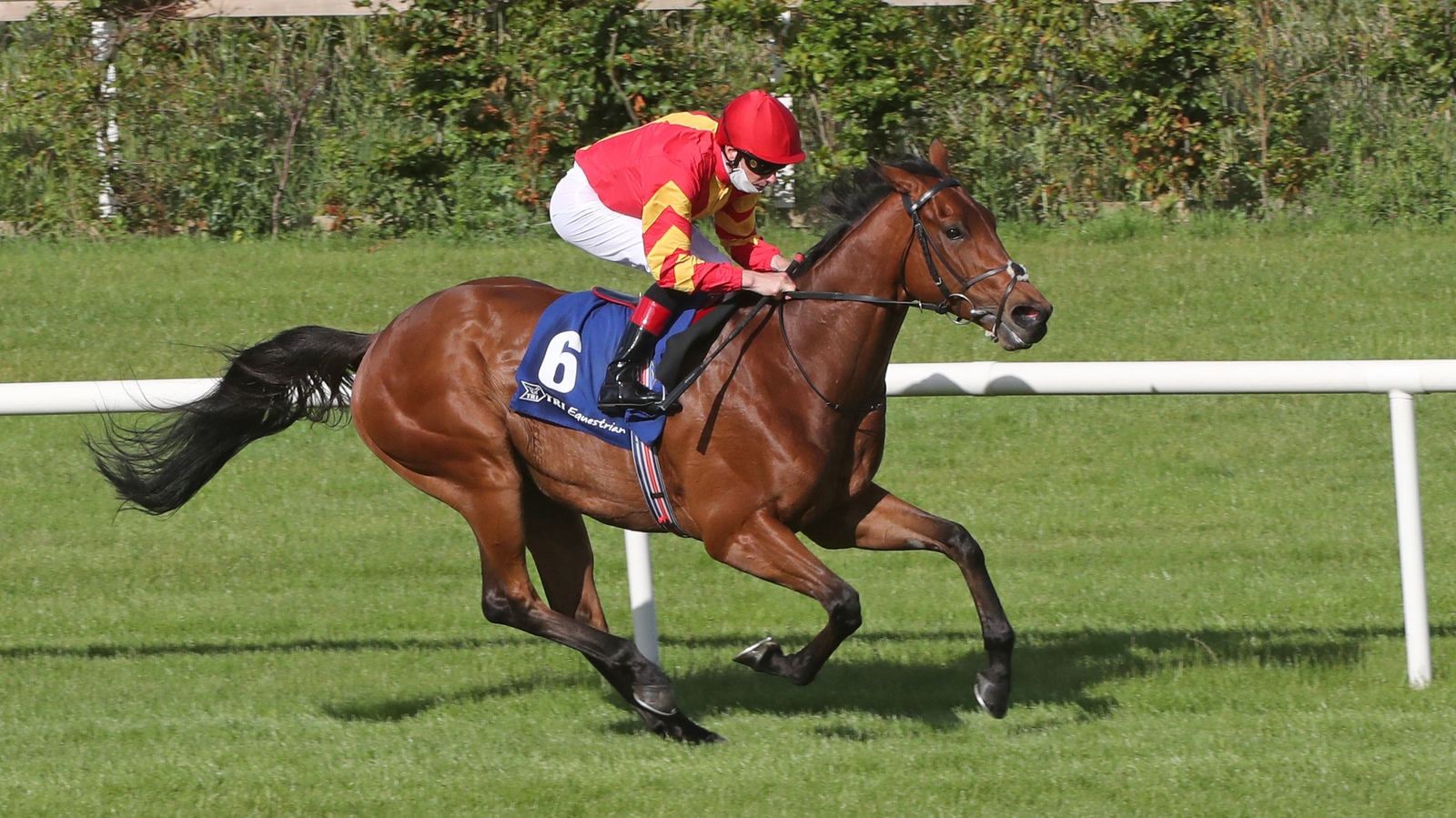 Patrick Sarsfield takes flight at Leopardstown