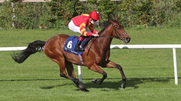 It was Patrick Sarsfield's second win at Leopardstown in the space of three weeks