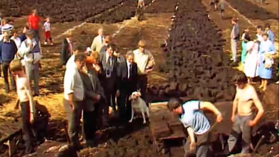 Turf Cutting Competition (1985)