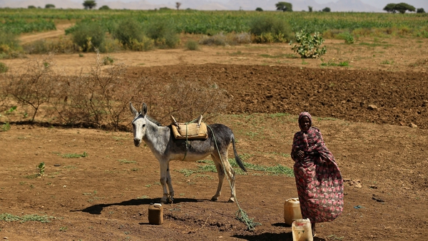 Farmers have only just returned to the land in Darfur (File pic)
