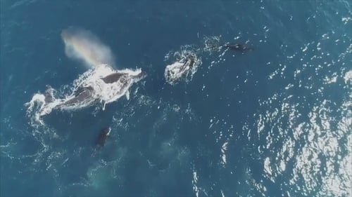 Image: Instagram / @shanestephen_liveaction Image: Instagram / @shanestephen_liveaction