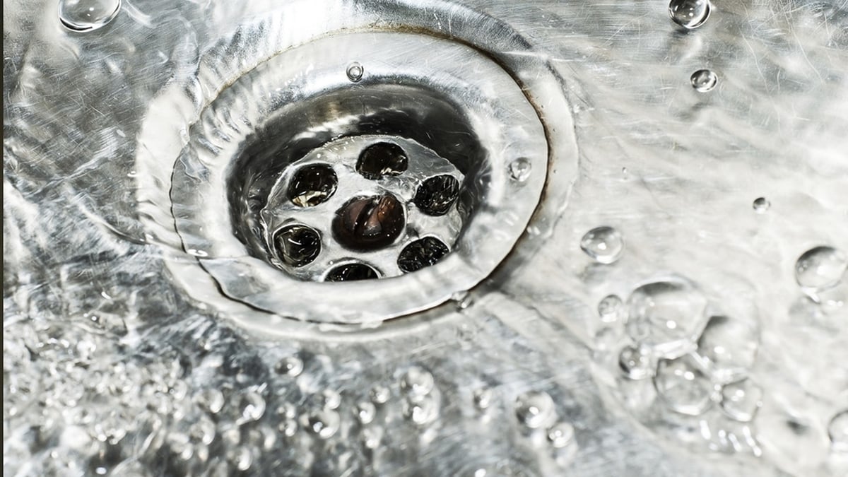 What Happens To The Stuff That Goes Down The Drain? 