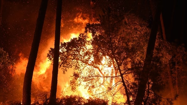 Forest fire France