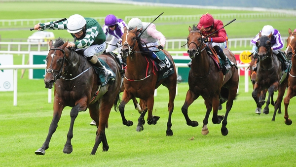 Lucky Vega won the Phoenix Stakes at the Curragh as a juvenile
