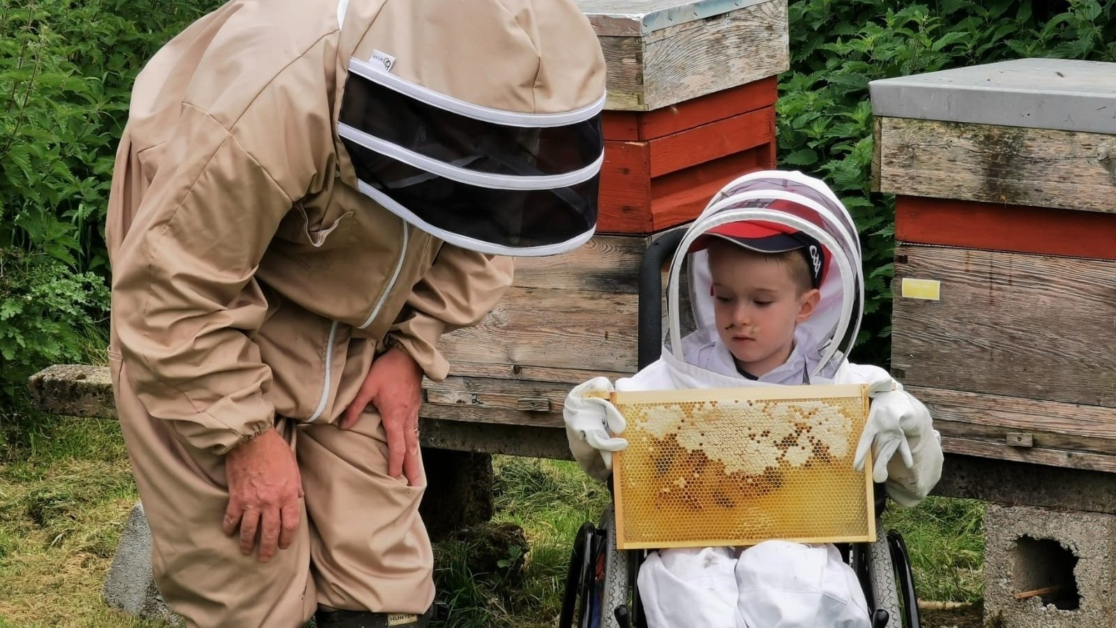 Ireland's youngest beekeeper is buzzing in Cork