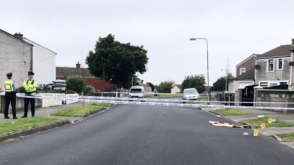 Gardaí are investigating a number of incidents in the Tymon North area (Pics: RollingNews.ie)