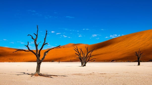 Deadvlei, Namibia (iStock/PA)