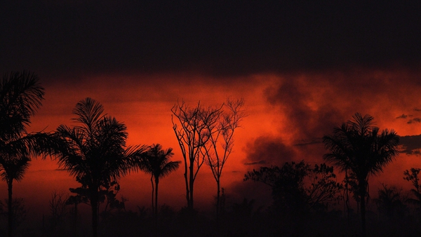 Smoke rises from an illegal fire in Amazon rainforest reserve, north of Sinop in Mato Grosso state