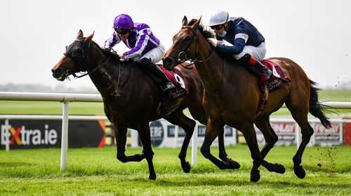 Delphi (far side) denies the late thrust of Master Of Reality in the Leger trial at the Curragh