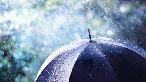 Met Éireann issues weather warnings whenever weather conditions meeting certain detailed thresholds are anticipated within a 48-hour period (file image)