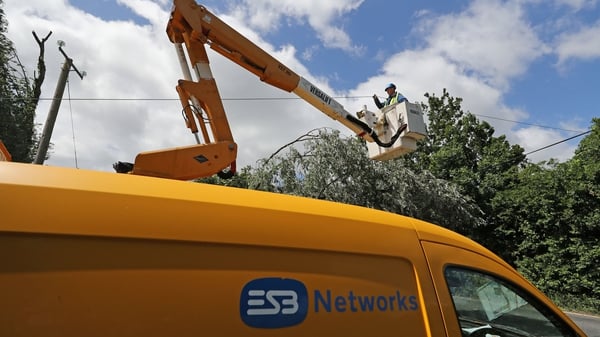 ESB Networks overcharged domestic customers in the way it implemented a subsidy scheme