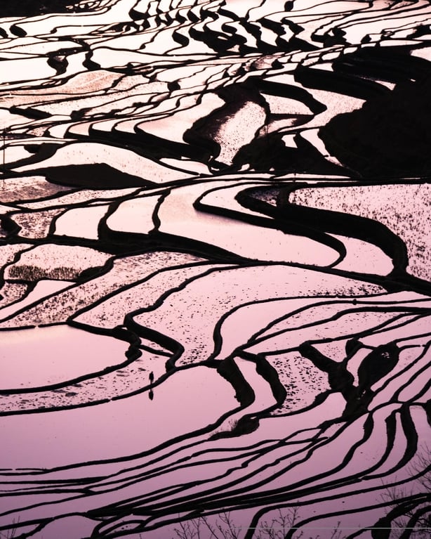 The Yuanyang Rice Terraces in China