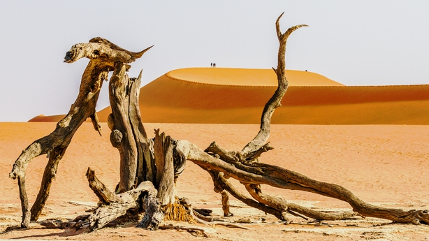 Sand dunes in Namibia's Namib Naukluft Park