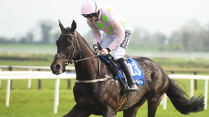 Ruby Walsh won his third, and Willie Mullins' first, Irish Grand National on Burrows Saint last year