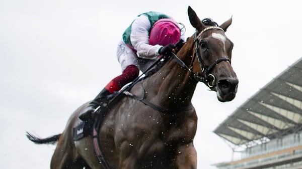 Enable (File pic)