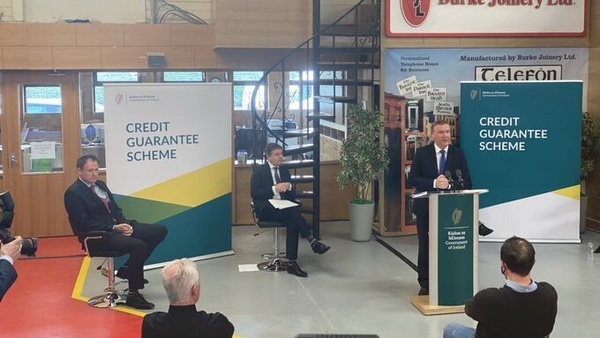 Minister Michael McGrath speaking at the launch of the Credit Guarantee Scheme at Burke Joinery in Dublin
