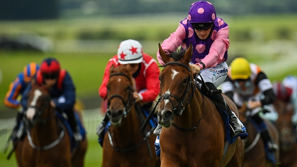 Thunder Beauty won on her racecourse debut at the Curragh last month