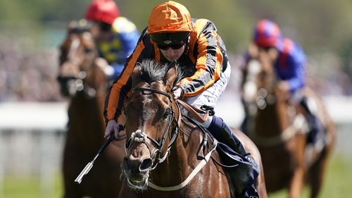 Telecaster has won two of his four starts this season