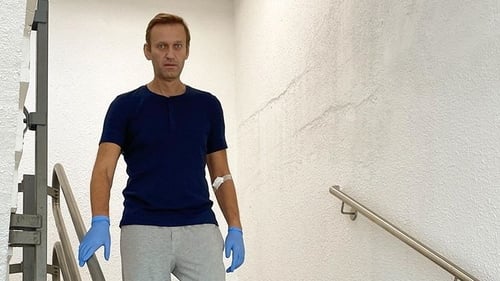 Navalny released from hospital after 32 days, doctors say full recovery possible