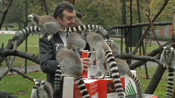 Lemurs at Dublin Zoo embrace new technology (1990)