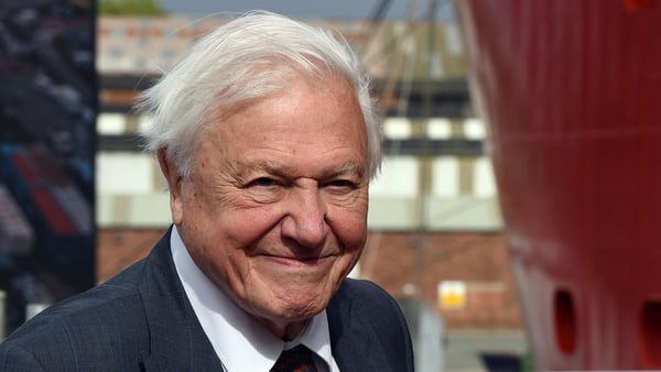 David Attenborough amassed over 1 million followers on Instagram in record time