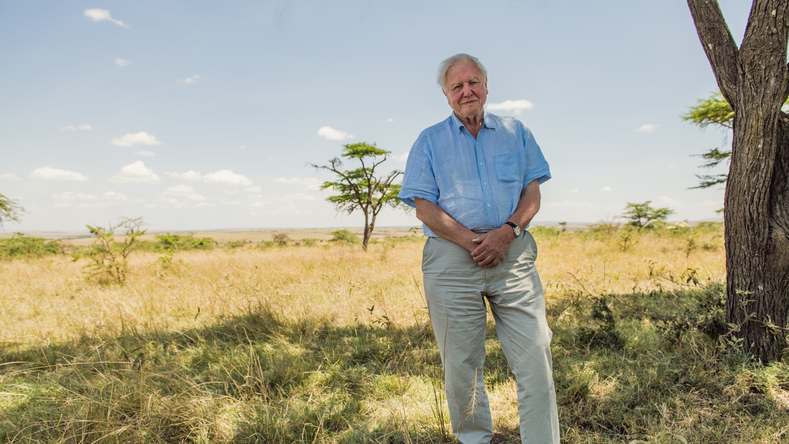 David Attenborough: A Life on Our Planet movie review : David