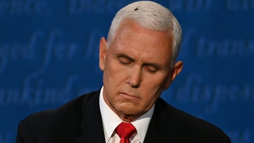The insect sat on Mike Pence's head for several minutes during the debate