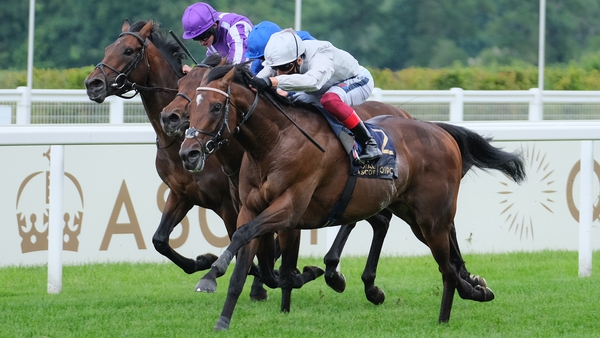 Palace Pier holds an entry in next month's Group One Lockinge Stakes at Newbury