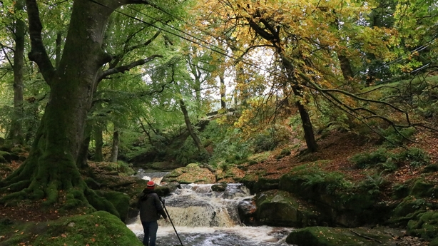 Top botanist predicts colourful autumn spectacle