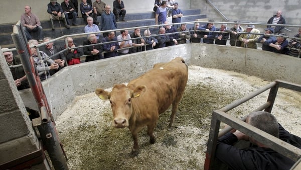 Minister for Agriculture Charlie McConalogue is undertaking a tour around the country's marts (Pic:RollingNews.ie)