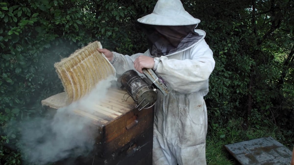 Beekeeping | Today with Claire Byrne - RTÉ Radio 1