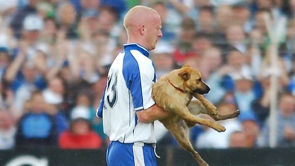 John Mullane escorts a dog from the pitch in the 2007 Munster final