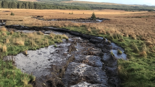 The rivers are black in colour as a result of suspended peat pollution