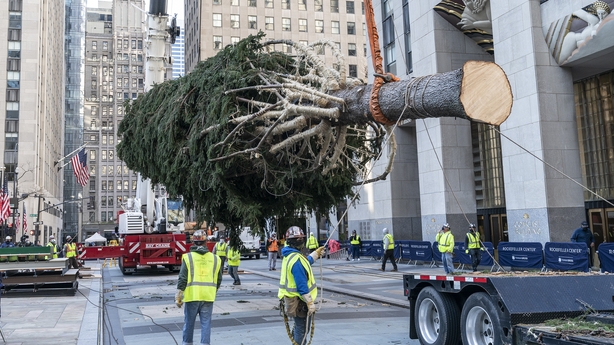 Rockefeller Christmas tree
