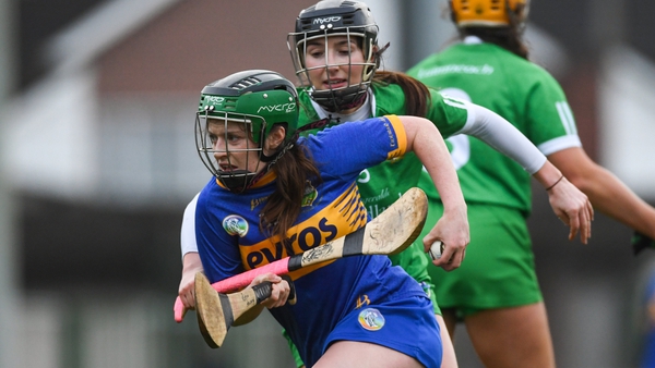Dual star Róisín Howard is looking to reach the All-Ireland camgoie final this weekend