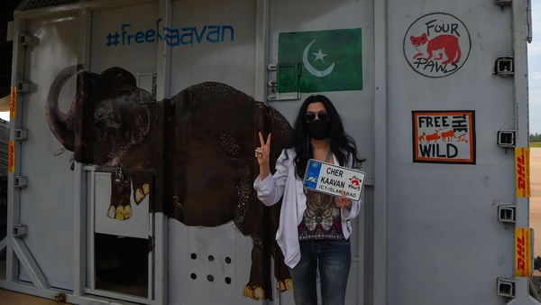 Cher poses alongside the crate used to transport Kaavan to his new home in Cambodia