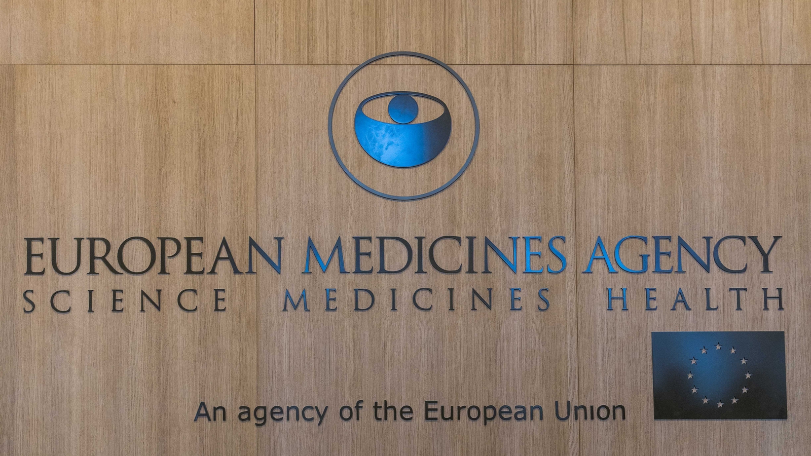 European medicine. European Medicines Agency. European Medicines Agency (Ema), European Union.. European Medicines Agency logo. Ema European Medicines Agency Executive Director emer Cooke.