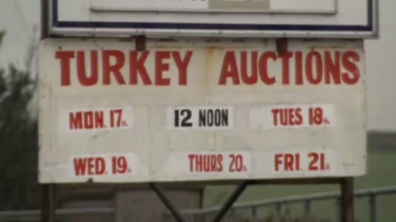 Turkey Auctions (1990)