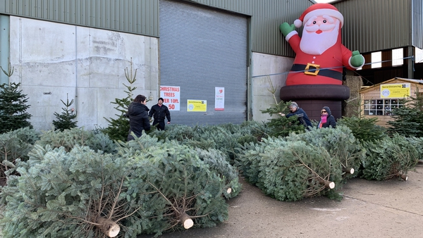 Wheelock's Christmas Tree Farm in Co Wexford are seeing people buy two trees instead of one in some instances