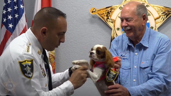 Gunner will serve as a safety and security officer under the Deputy Dogs Pets on Patrol programme (Pic: Lee County Sheriff's Office)