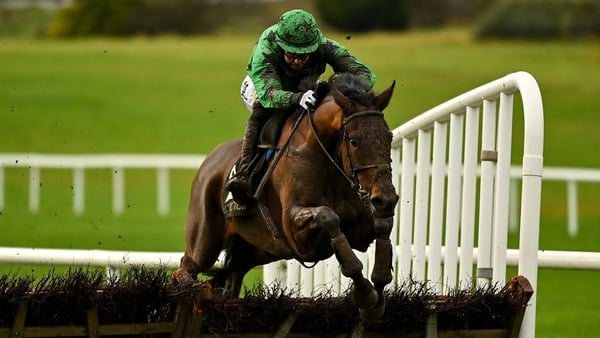 Ashdale Bob can bounce back from his second-flight fall at Naas last month