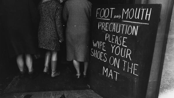 Irish people were asked not to return home in 1967 to prevent the spread of foot-and-mouth disease