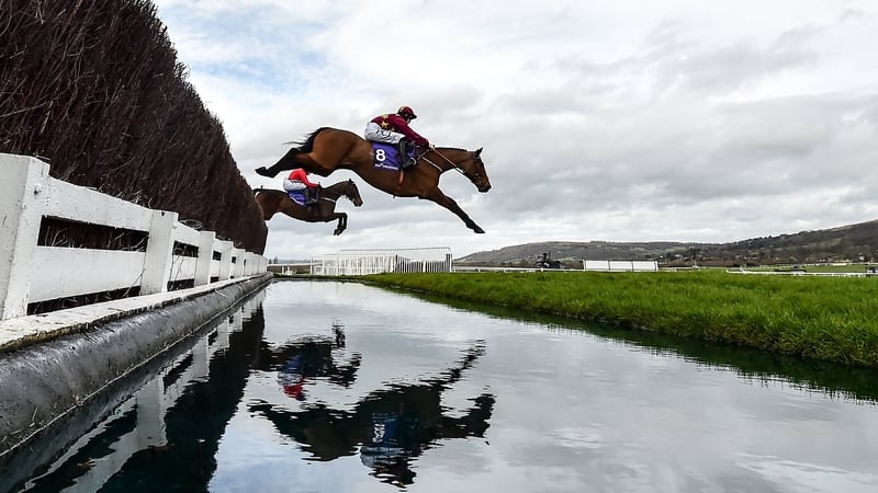 paddy power irish gold cup