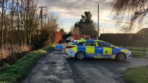 Gardaí at Naas are investigating the incidents