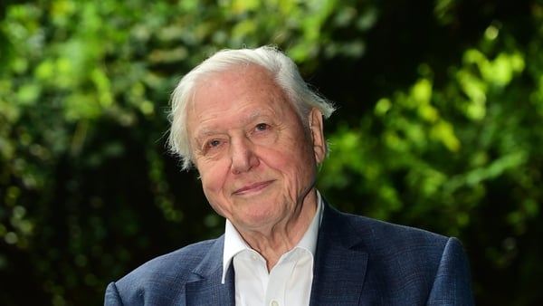 Broadcaster and naturalist David Attenborough was second on NatWest's Celebrity Scam Super League.